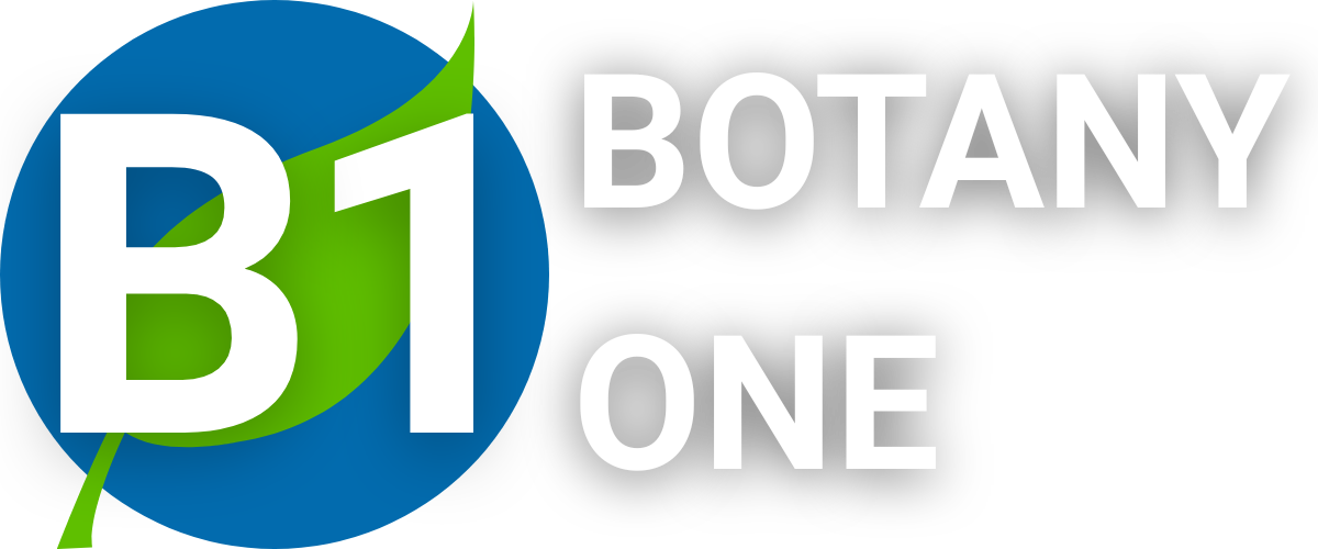 Botany One