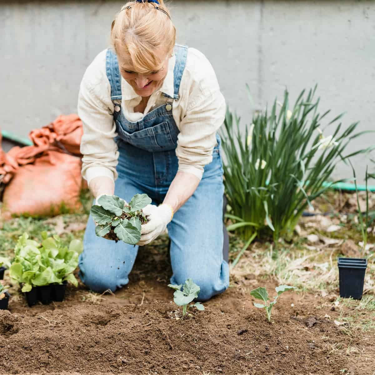 The Invasive Species Message That's Missing Its Audience