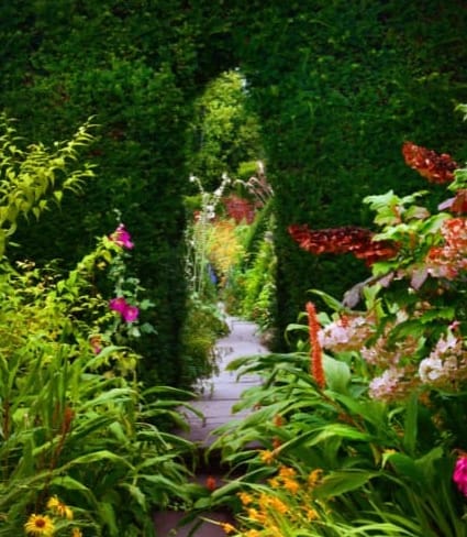 Secrets of the Living Library