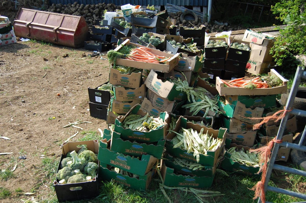 The waste of what we do?