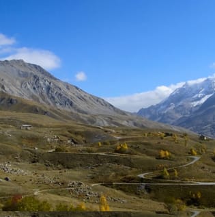 Plant resource-use strategies and phenotypic plasticity