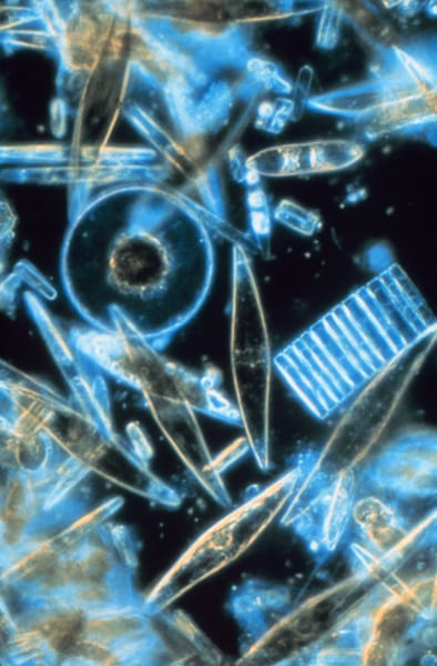 Ignore the small things at your peril…