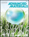 Water on a plant leaf - Advanced Materials journal cover
