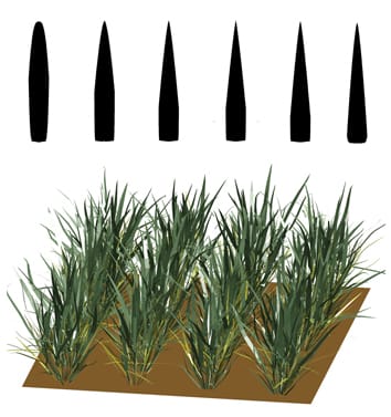 Model-based analysis of leaf shape