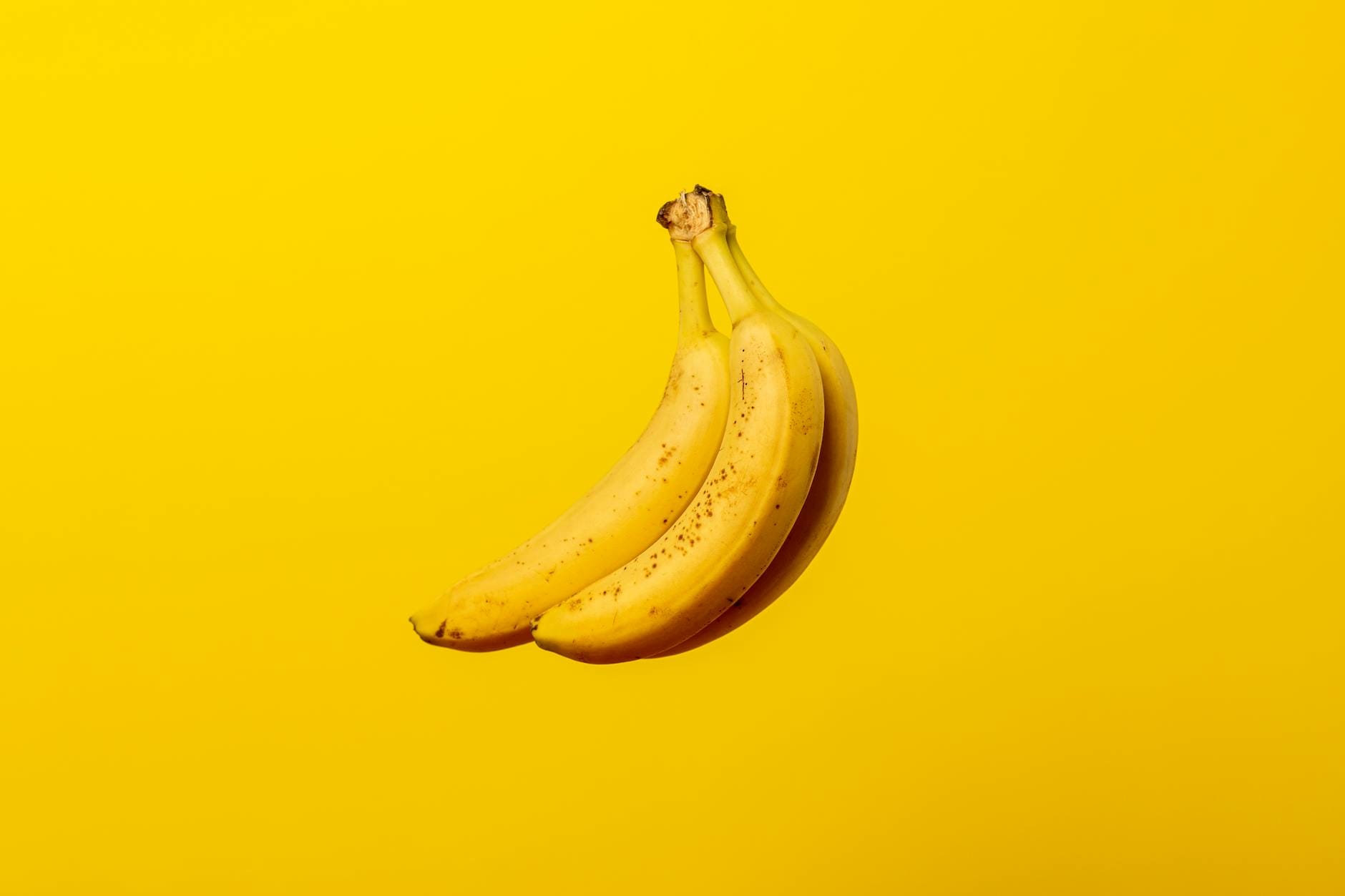 Blogger goes bananas (in a good way)