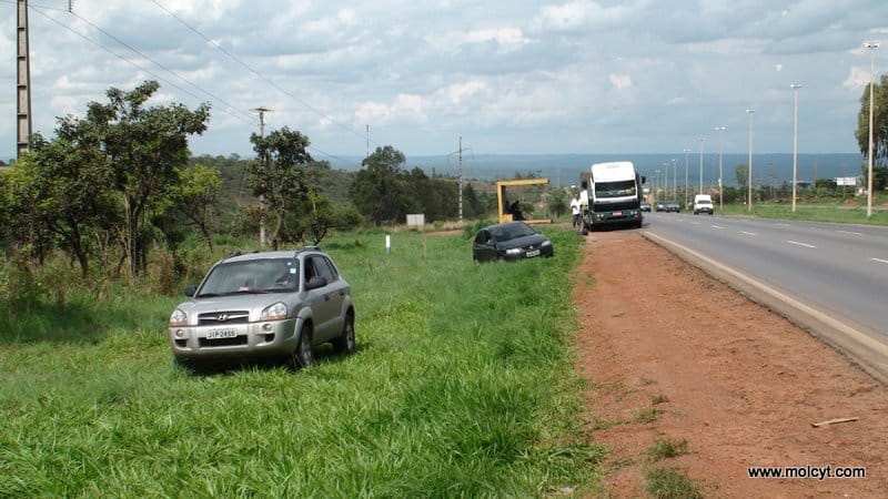 The roadside botanist, bananas and cassava biodiversity