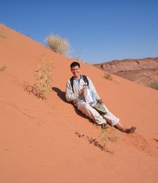 Sunflower nitrogen-stress response and gene expression