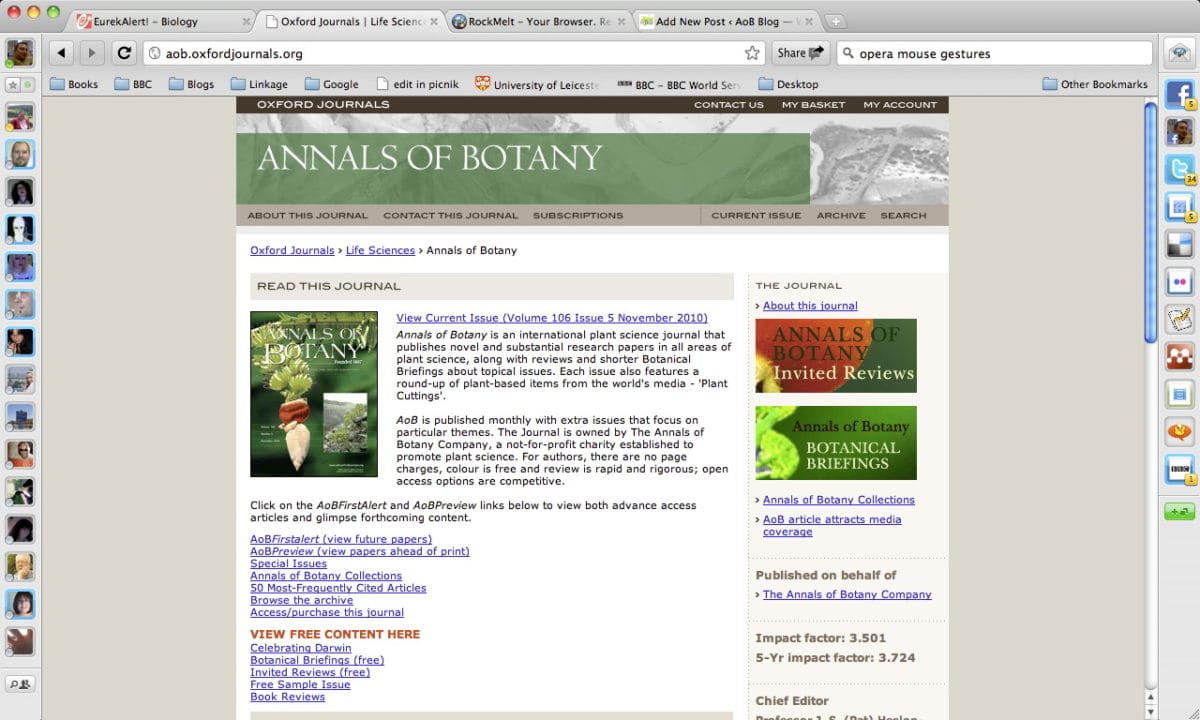 RockMelt: First Thoughts