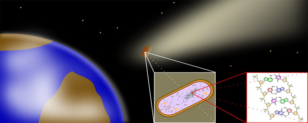 Back to the Beginning: The Miller’s Tale