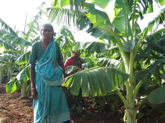 Woman standing by banana plant.