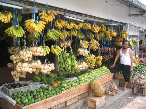Bananas for sale