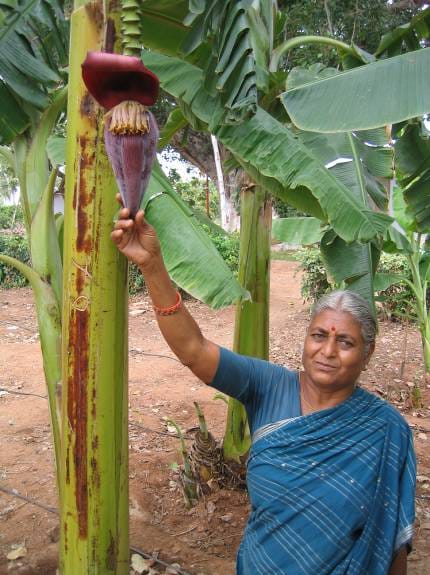 Woman with an exotic banana