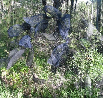 Inbreeding and outbreeding depression in <i>Grevillea</i>