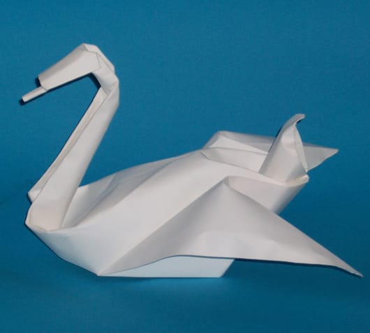 Inspirational plants