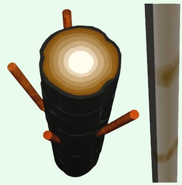 Modelling crown and wood characteristics of Pinus