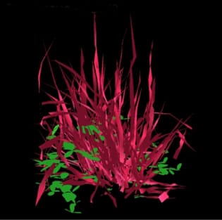 Turbid medium models and light in intercropping