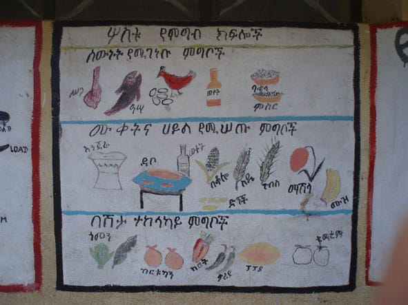 Food for the billions – botany has the answers #bad11