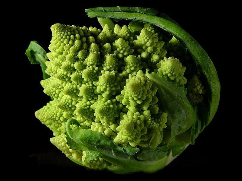 Broccoli Image: Jon Sullivan/Wikimedia Commons