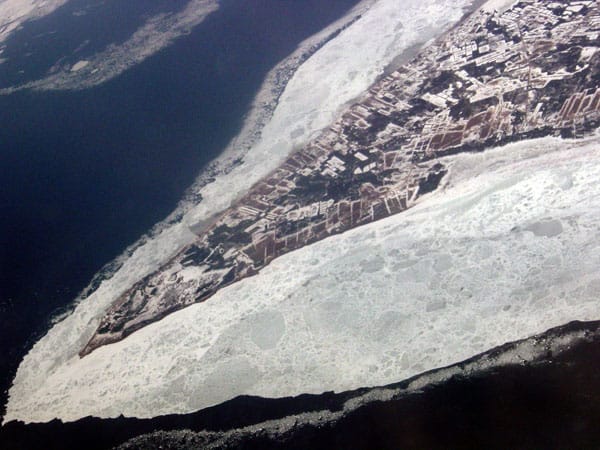 International reach, special habitats and the Baltic