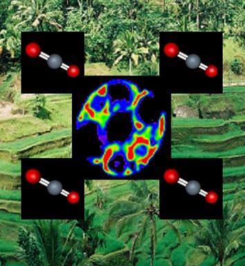 Calcium sensitivity and guard cells (Invited Review)