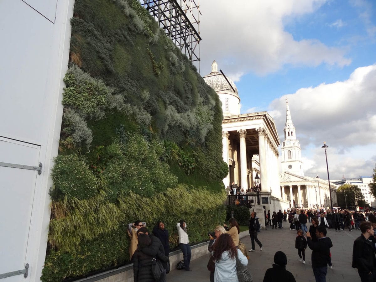 Living wall in front of the National Gallery, London