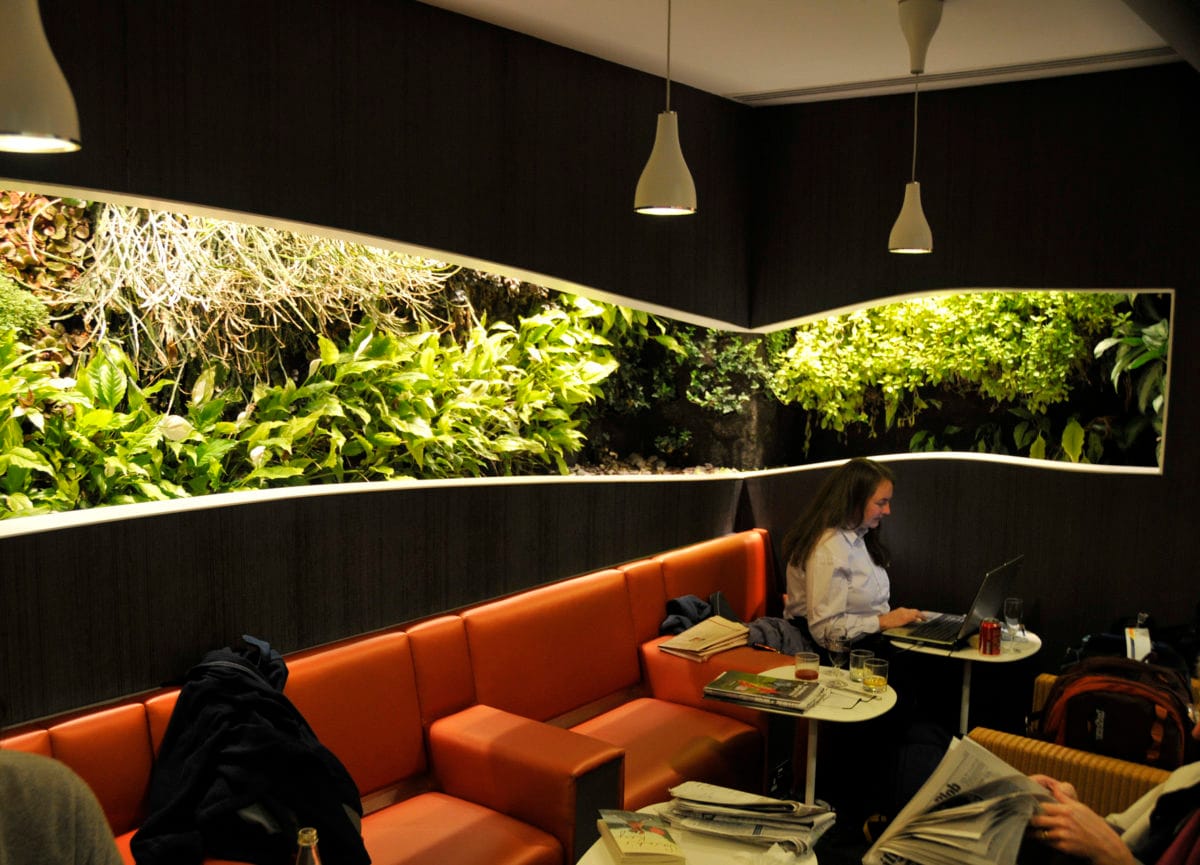 An indoor living wall in an airport lounge