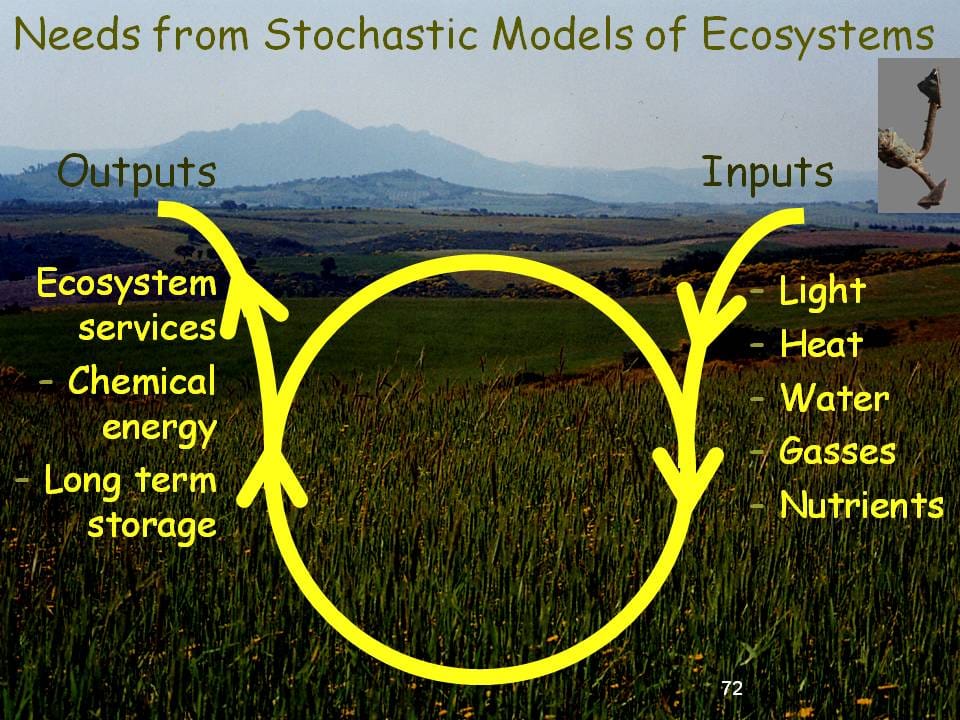 Stochastic modelling in ecosystems – progress but we are not there yet