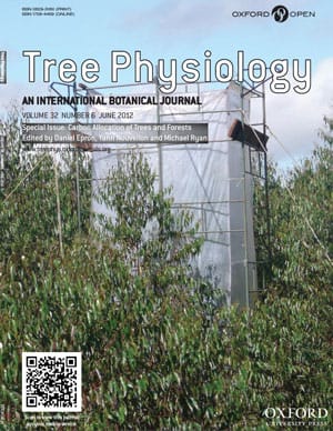 Tree Physiology: Carbon allocation special issue