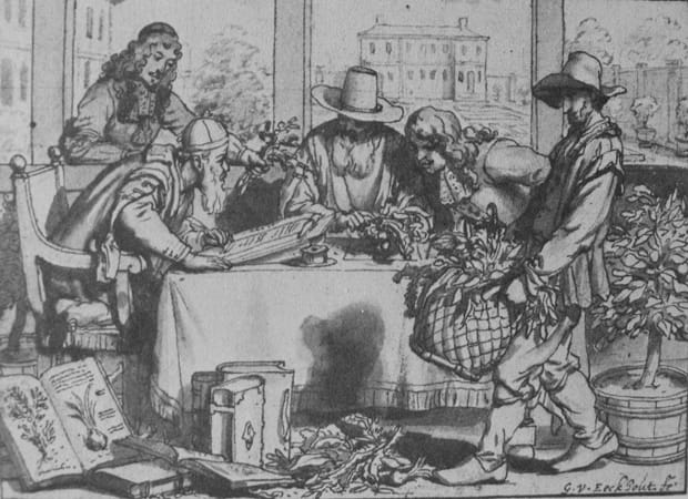 What does ethnobotany mean to you?