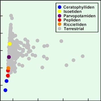 Aquatic plant adaptive strategies