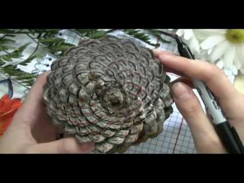 Doodling in Math: Spirals, Fibonacci, and Being a Plant