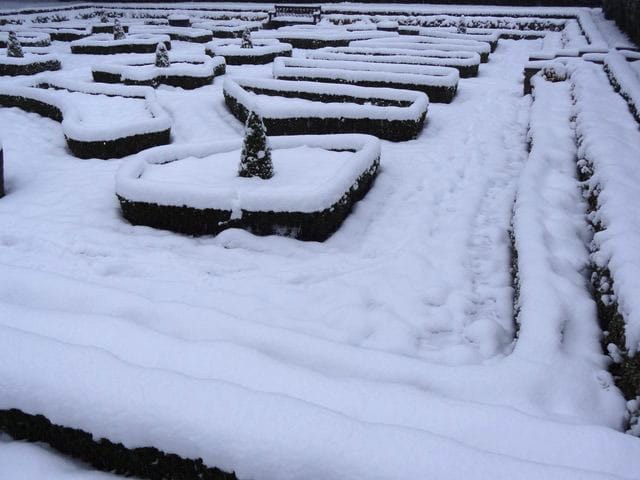 Formal gardens in snow