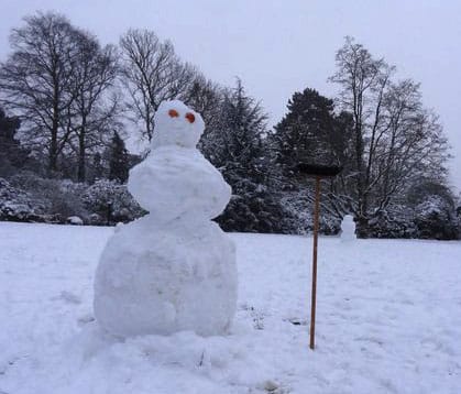 Some new visitors: I hope they were counted correctly