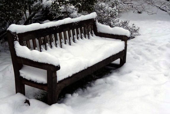 A restful bench awaiting spring
