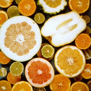 Nuclear and maternal phylogeny in ‘true citrus’