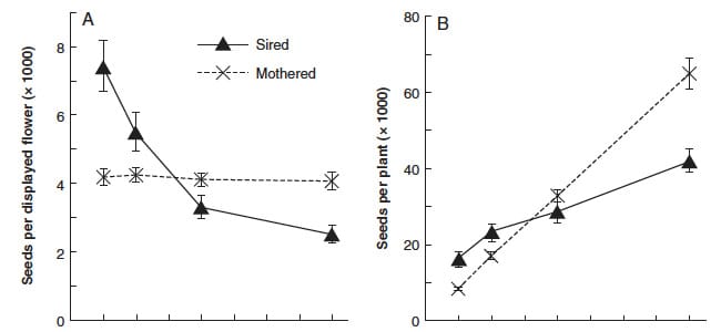 Looking pretty leads to female sexual success, not so good for males
