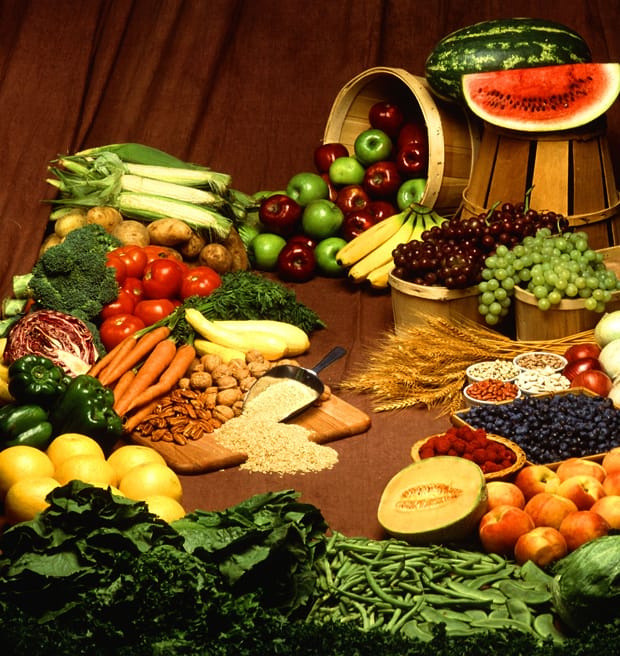 Phytofoodophylogeny…