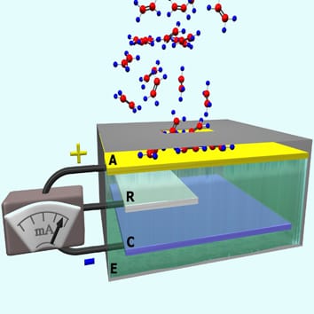 Current methods for detecting ethylene in plants (Invited Review)
