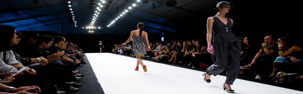 Chlorophyllous catwalk… (Or, Hemerocallis, the ‘lily’ whose day has come?)