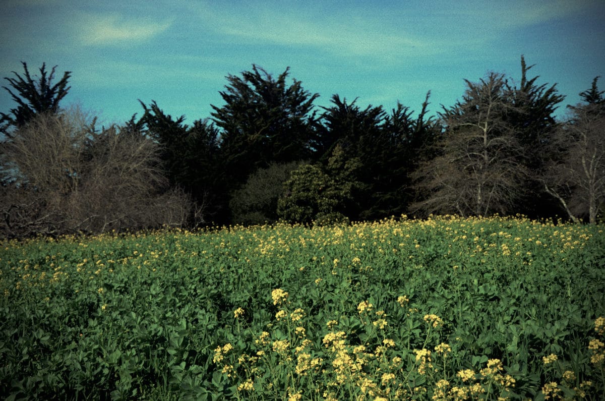 Vous avez dit «agroécologie» ?