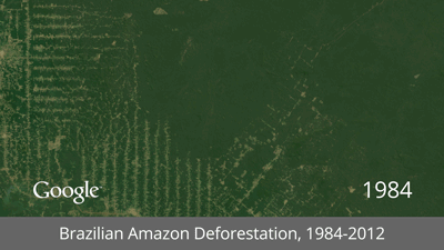 Deforestation of the Amazon