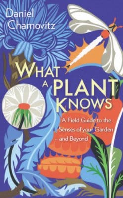 What a Plant Knows by Daniel Chamovitz