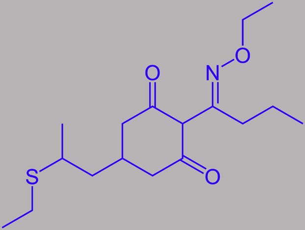 Algae found under teenager’s bed…