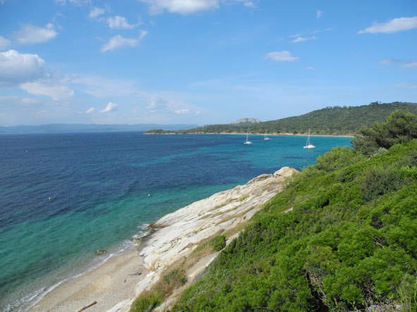 Flowering around the Med