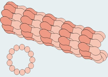Homage to a nanotubule…