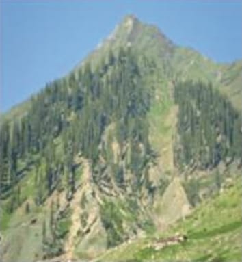 Plant biodiversity conservation in montane ecosystems