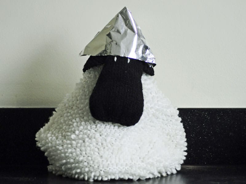 Sheep in a tin foil hat