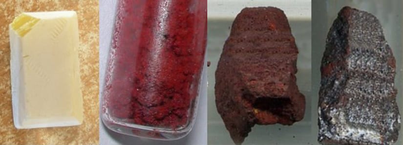 Spotlight on macronutrients: Phosphorus… and Potassium