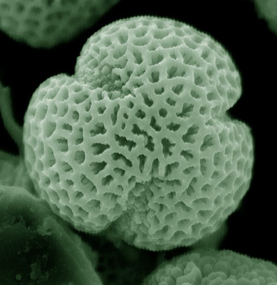 Caught in the act…