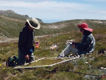 Spatial and temporal functional changes in alpine summit vegetation are driven by increases in shrubs and graminoids